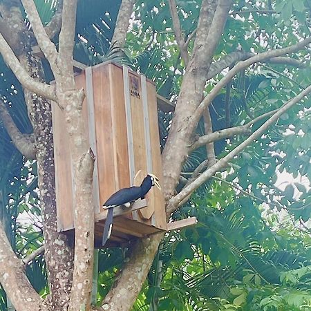 Najjamee Bungalows Ko Yao Noi Εξωτερικό φωτογραφία